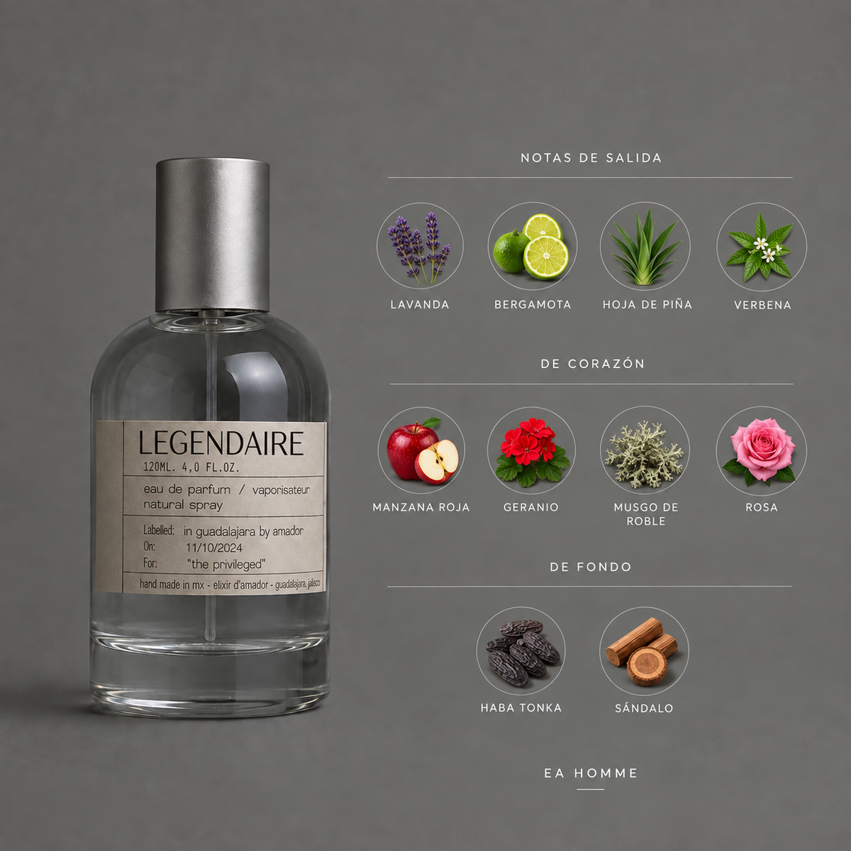 Légendaire de Elixir Amador: infografía de notas olfativas.