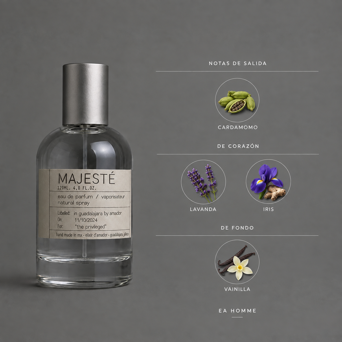 Majesté de Elixir Amador: infografía de notas olfativas.