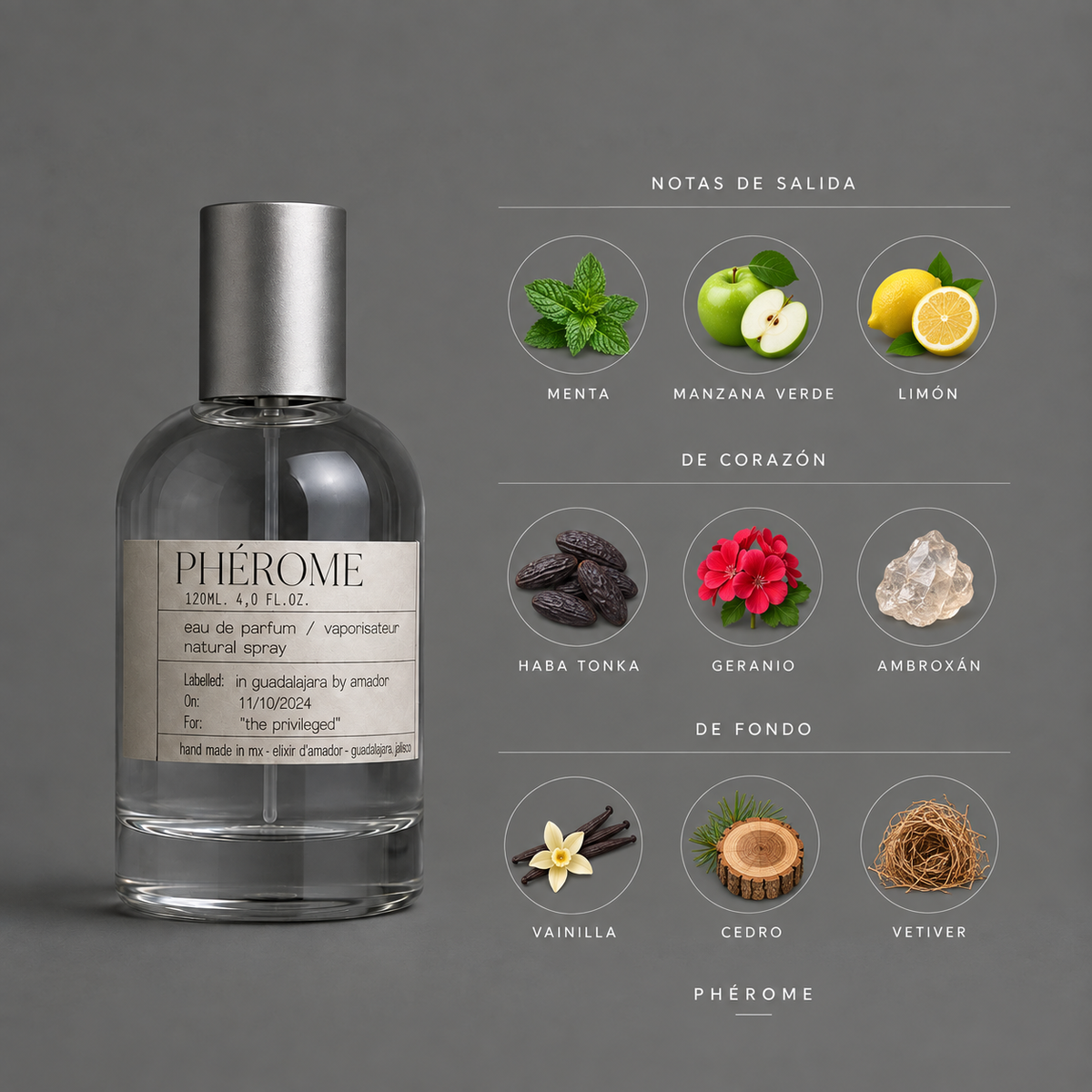 Phérome de Elixir Amador: infografía de notas olfativas.