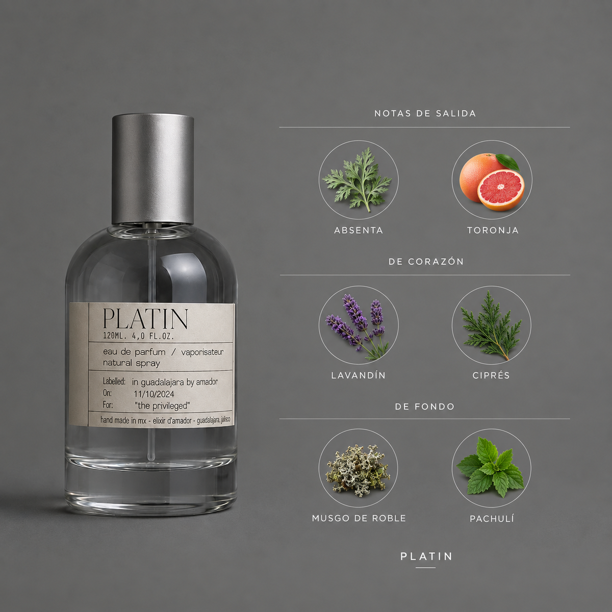 Platin de Elixir Amador: infografía de notas olfativas.