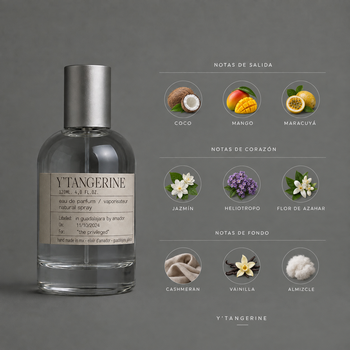 Y’ Tangerine de Elixir Amador: infografía de notas olfativas.
