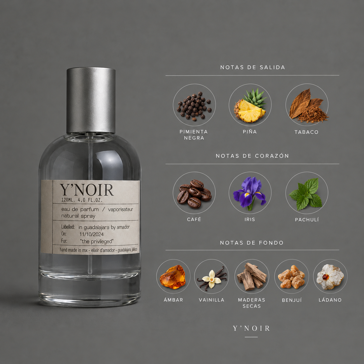 Y’Noir de Elixir Amador: infografía de notas olfativas.