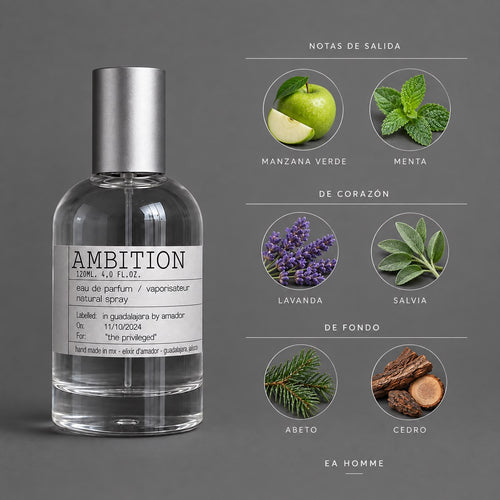 AMBITION