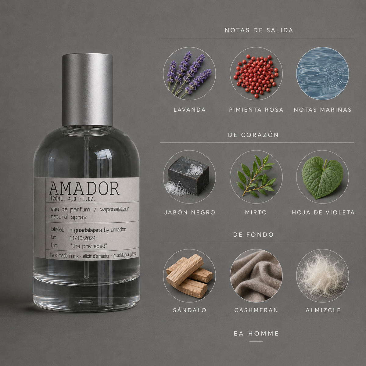 Amador de Elixir Amador: infografía de notas olfativas.