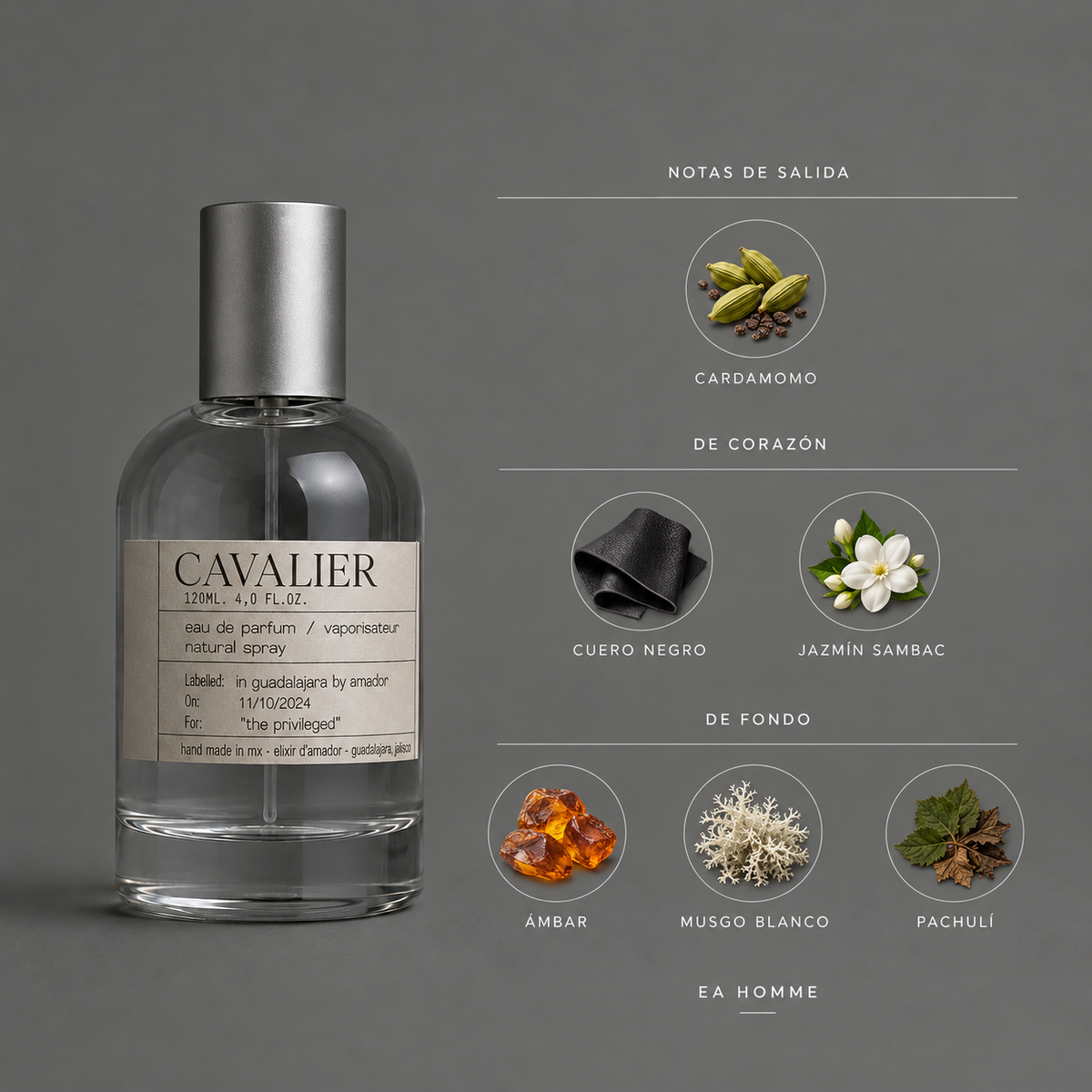 Cavalier de Elixir Amador: infografía de notas olfativas.