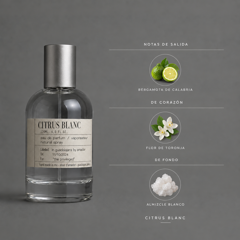 Citrus Blanc de Elixir Amador: infografía de notas olfativas.