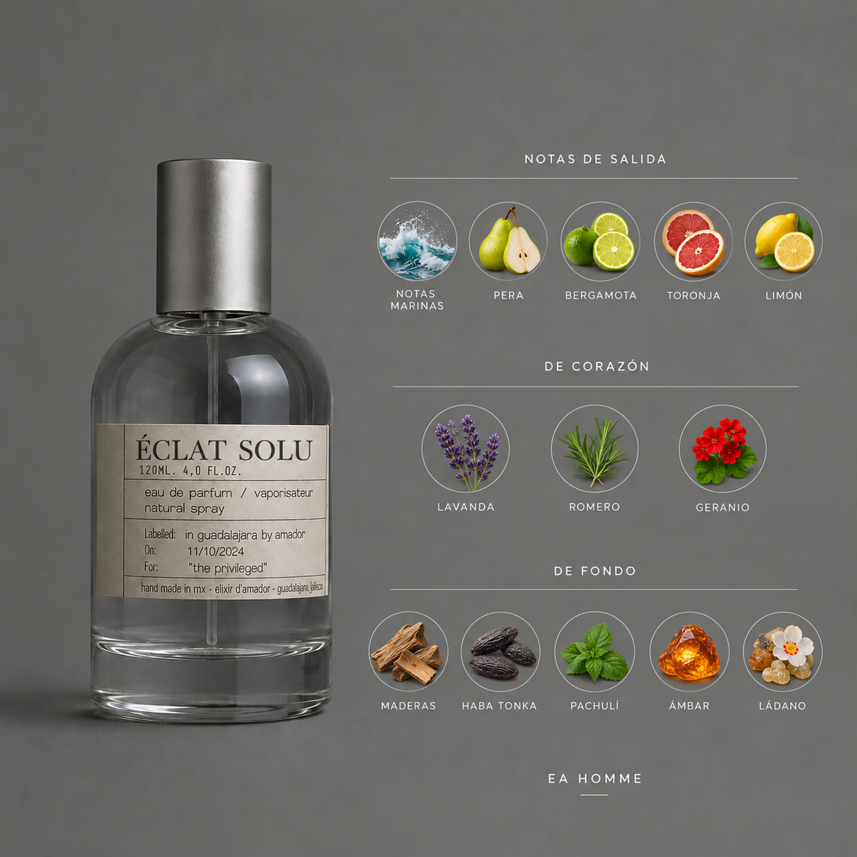 Éclat Solu de Elixir Amador: infografía de notas olfativas.