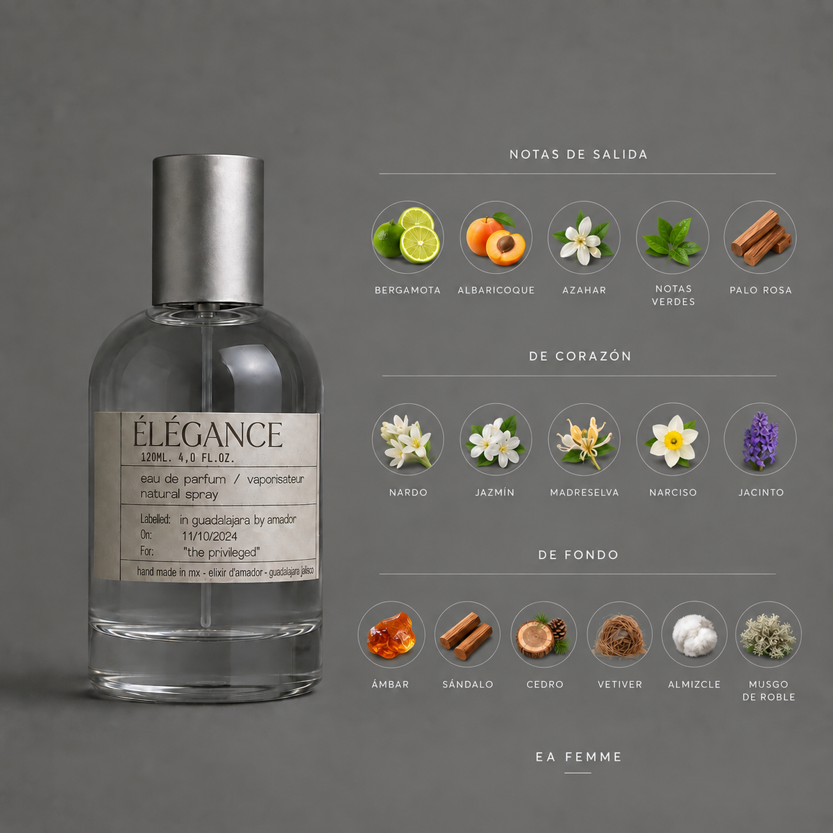 Élégance de Elixir Amador: infografía de notas olfativas.