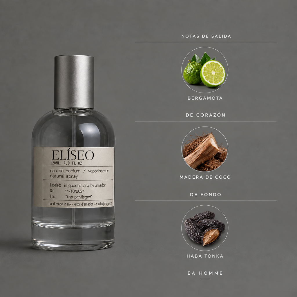 Elíseo de Elixir Amador: infografía de notas olfativas.