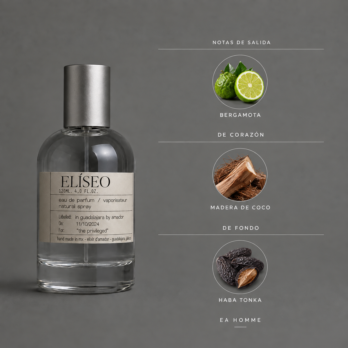 Elíseo de Elixir Amador: infografía de notas olfativas.