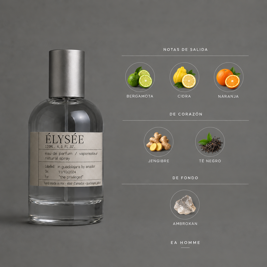 Élysée de Elixir Amador: infografía de notas olfativas.