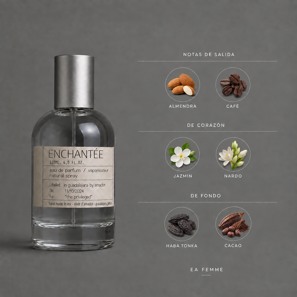 Enchantée de Elixir Amador: infografía de notas olfativas.