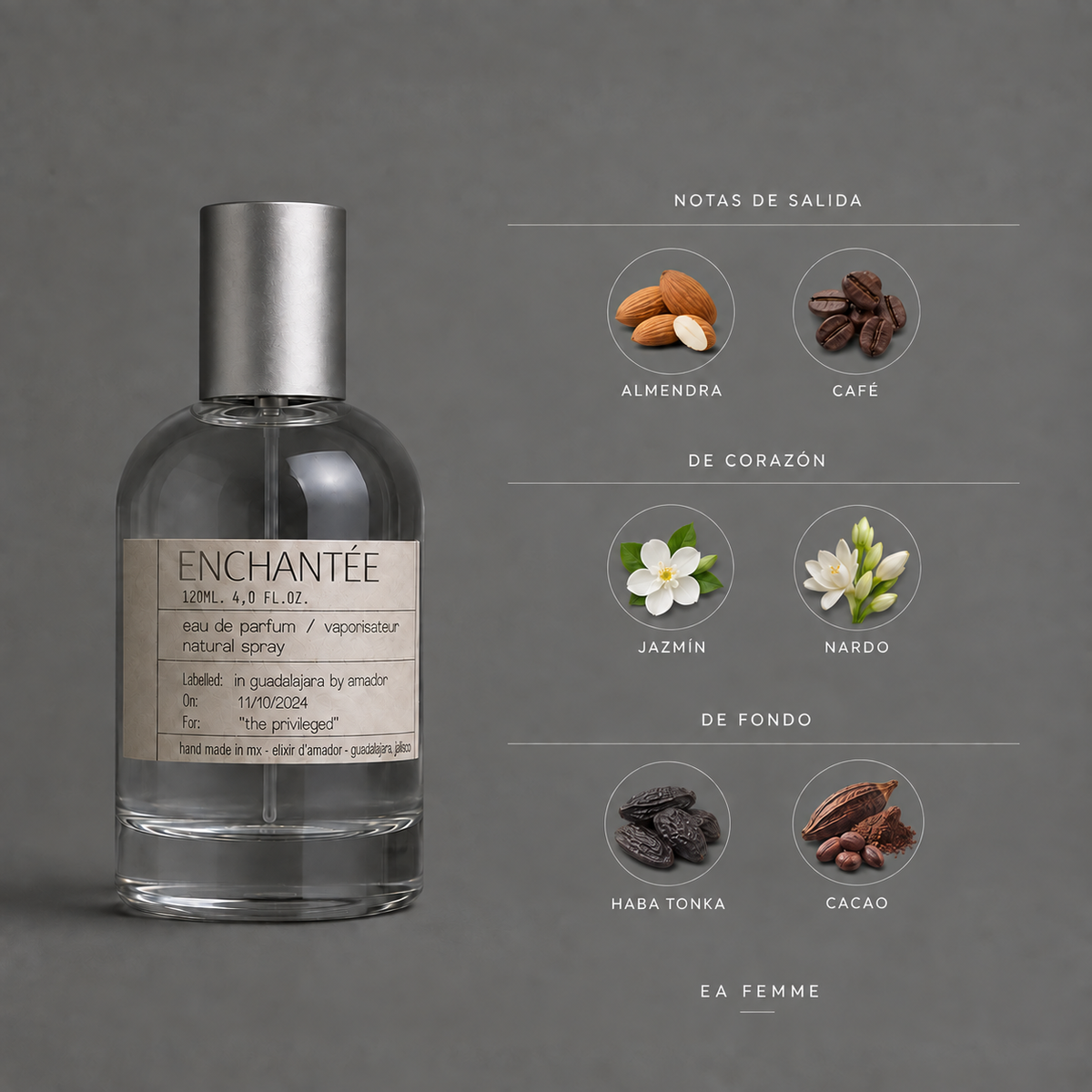 Enchantée de Elixir Amador: infografía de notas olfativas.
