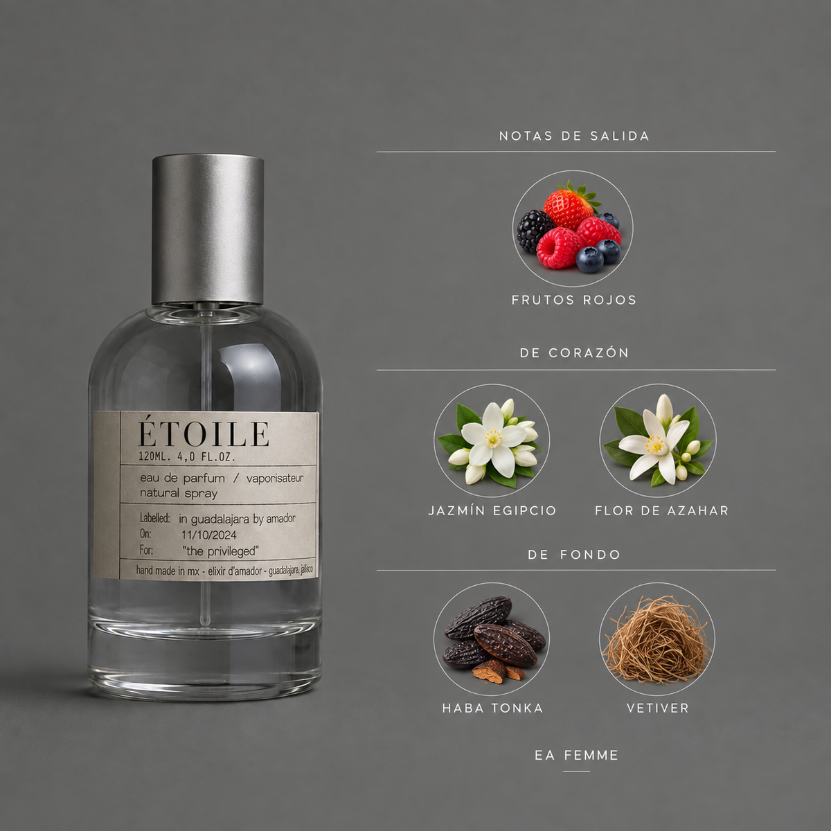 Étoile de Elixir Amador: infografía de notas olfativas.