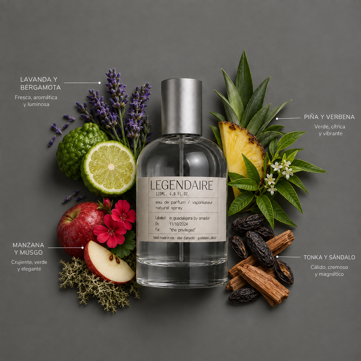 Légendaire de Elixir Amador: frasco de 120 ml con la composición aromática ilustrada.