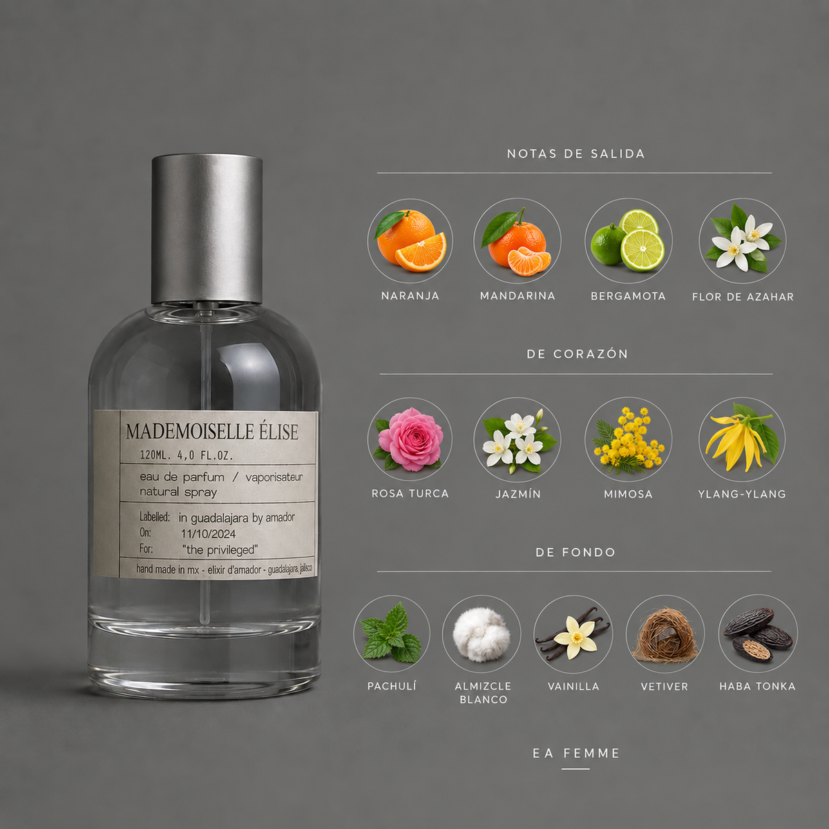 Mademoiselle Élise de Elixir Amador: infografía de notas olfativas.
