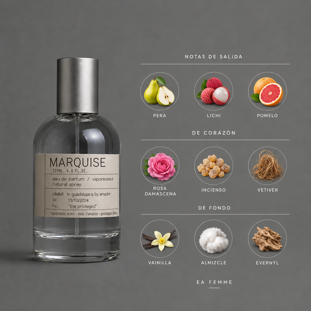 Marquise de Elixir Amador: infografía de notas olfativas.