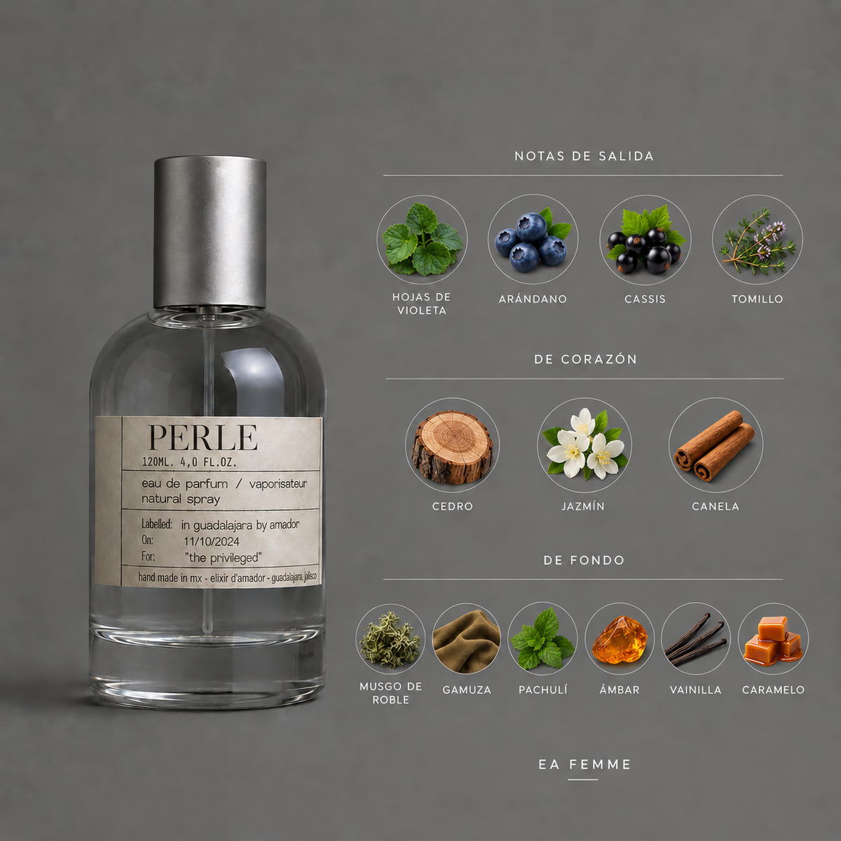 Perle de Elixir Amador: infografía de notas olfativas.
