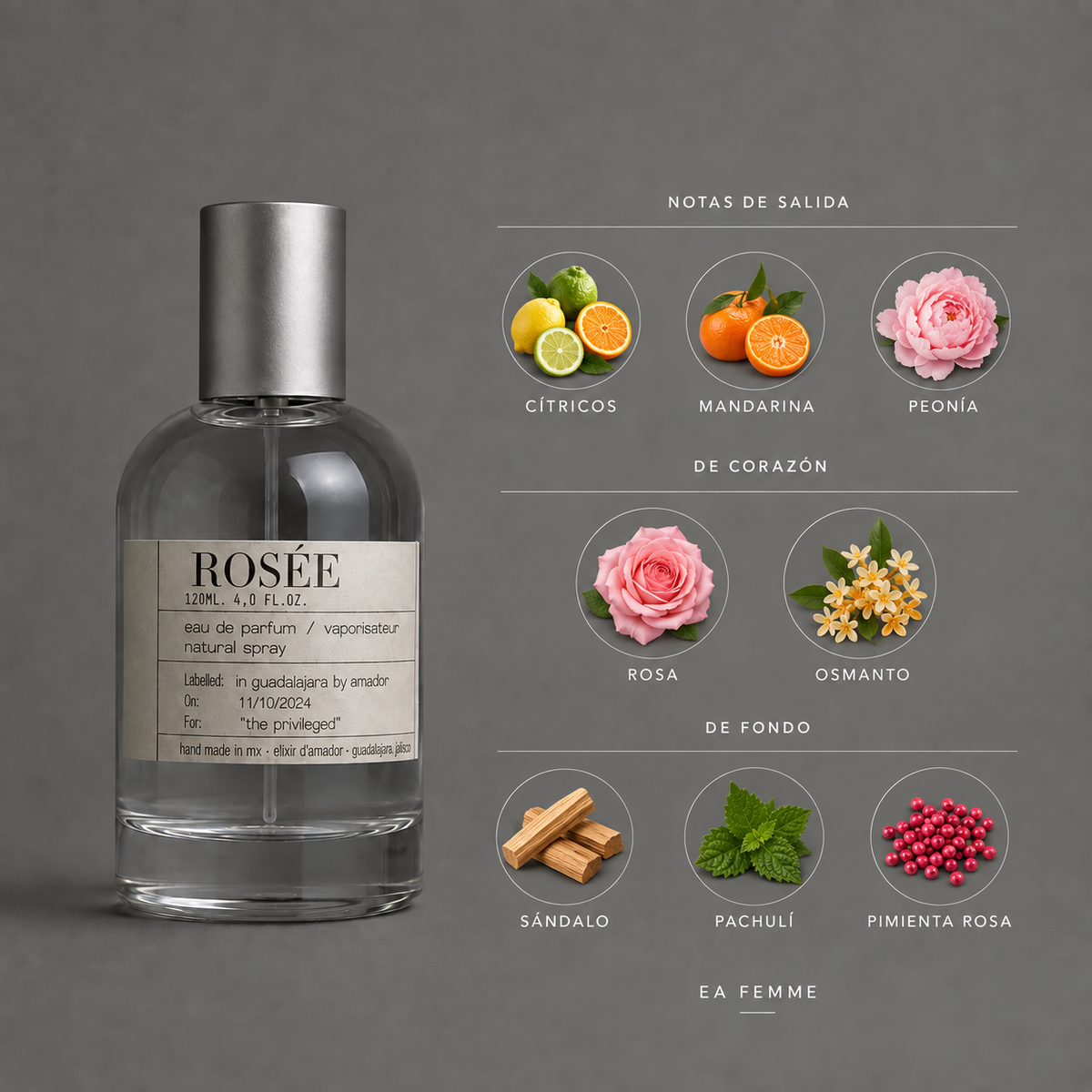Rosée de Elixir Amador: infografía de notas olfativas.