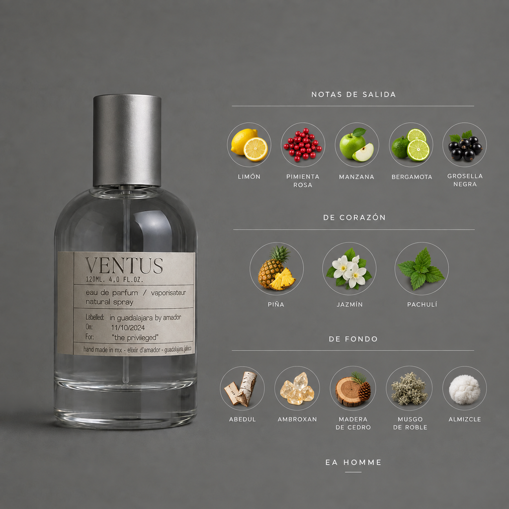 Ventus de Elixir Amador: infografía de notas olfativas.