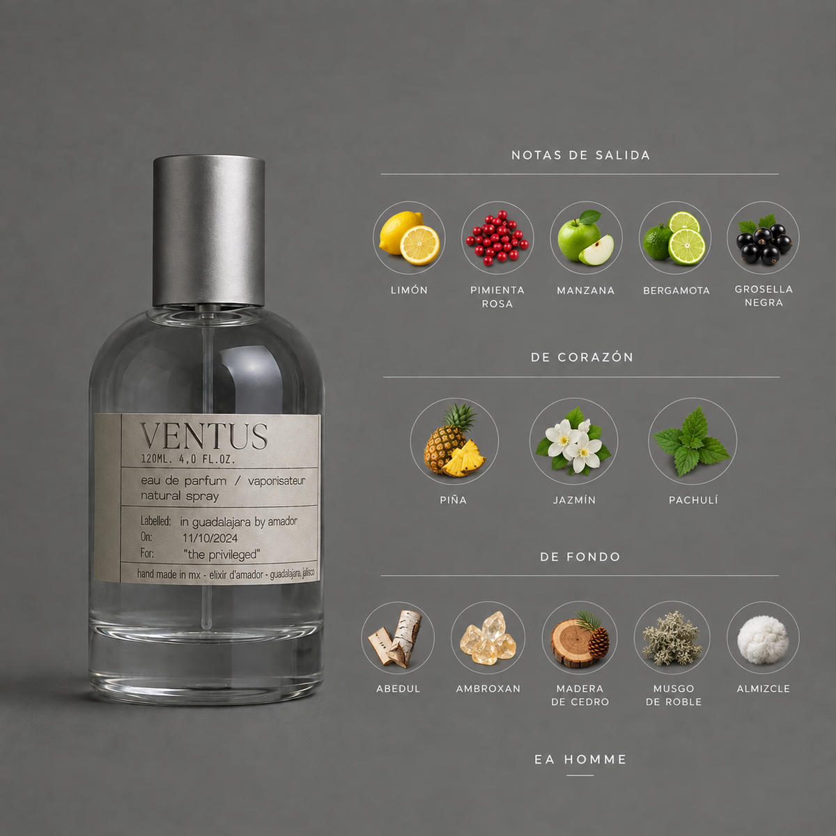 Ventus de Elixir Amador: infografía de notas olfativas.