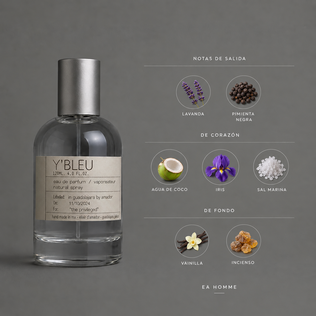 Y’ Bleu de Elixir Amador: infografía de notas olfativas.